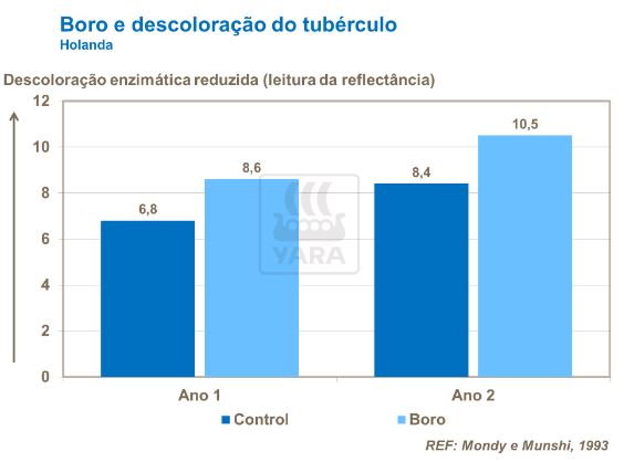 yara, fertilizante, batata, boro