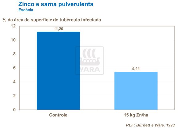 yara, fertilizante, batatas