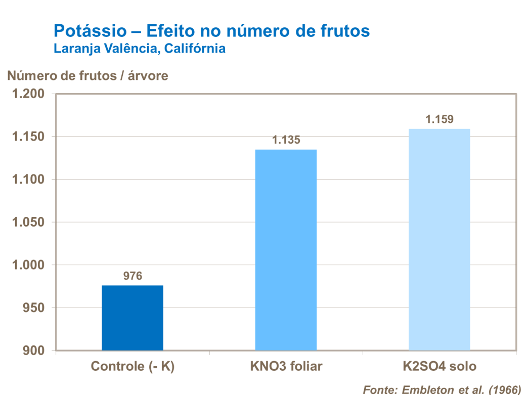 Efeito de potassio no n&uacute;mero de frutos