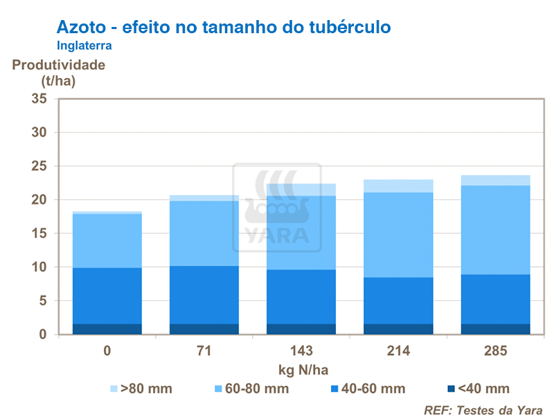 yara, fertilizante, batatas