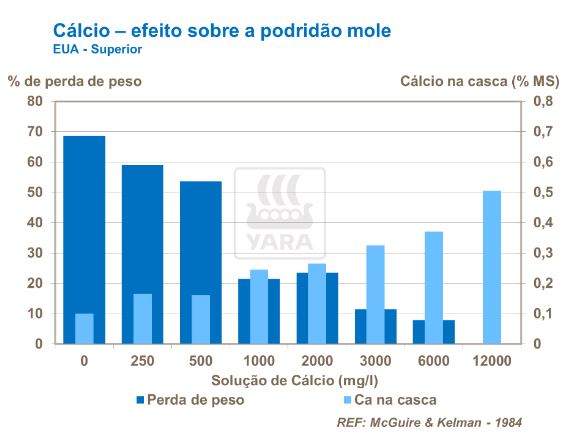 yara, c&aacute;lcio, fertilizante
