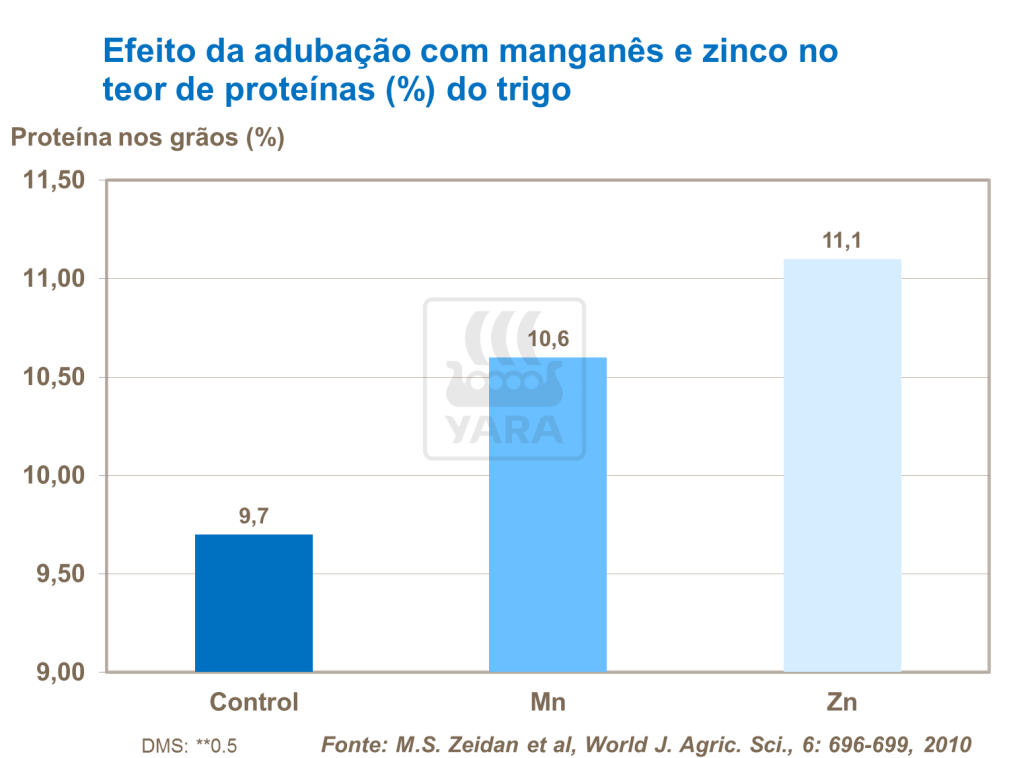 yara, fertilizante, trigo
