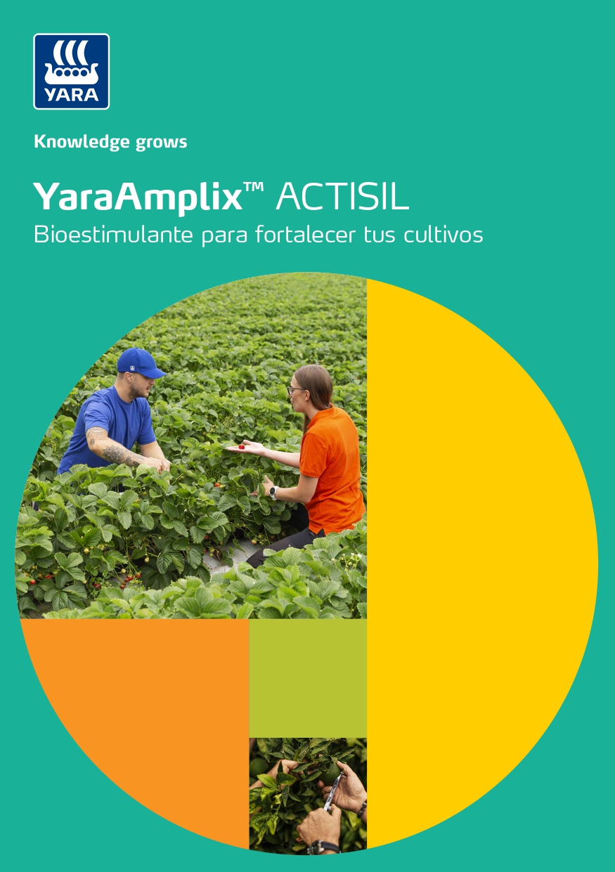 Folheto YaraAmplix™ ACTISIL