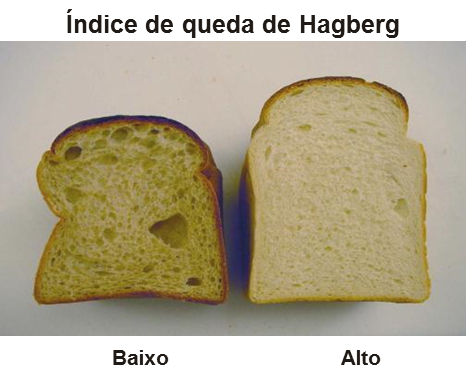 Indice de ca&iacute;da de Hagberg