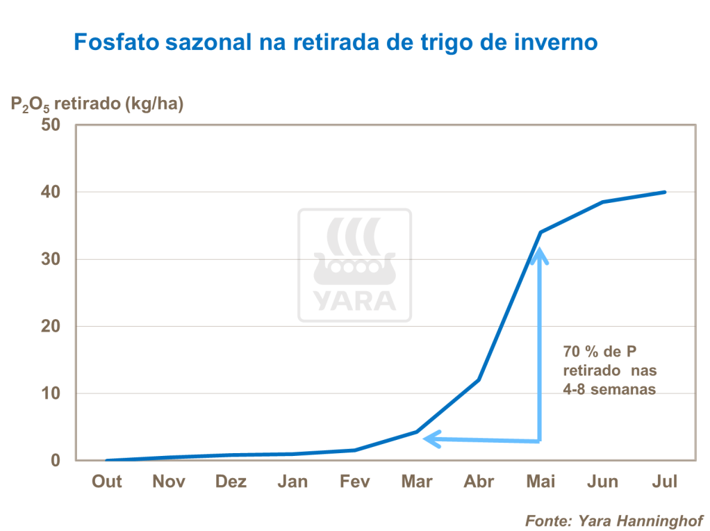 yara, fertilizante, batatas