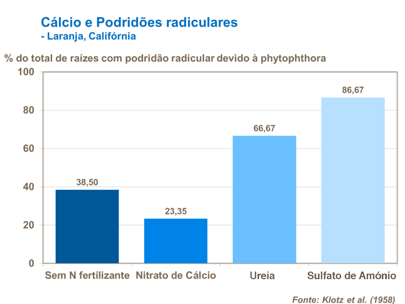 C&aacute;lcio e podrid&otilde;es radiculares