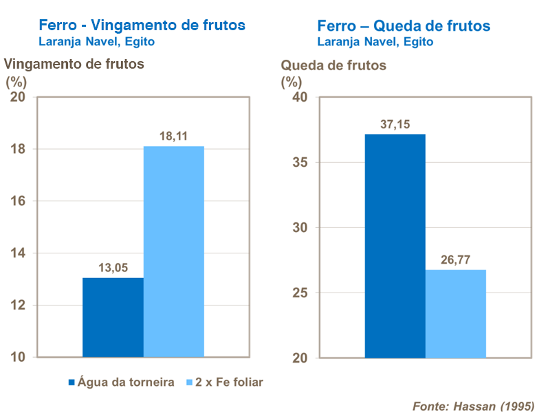 Efeito de ferro en citros