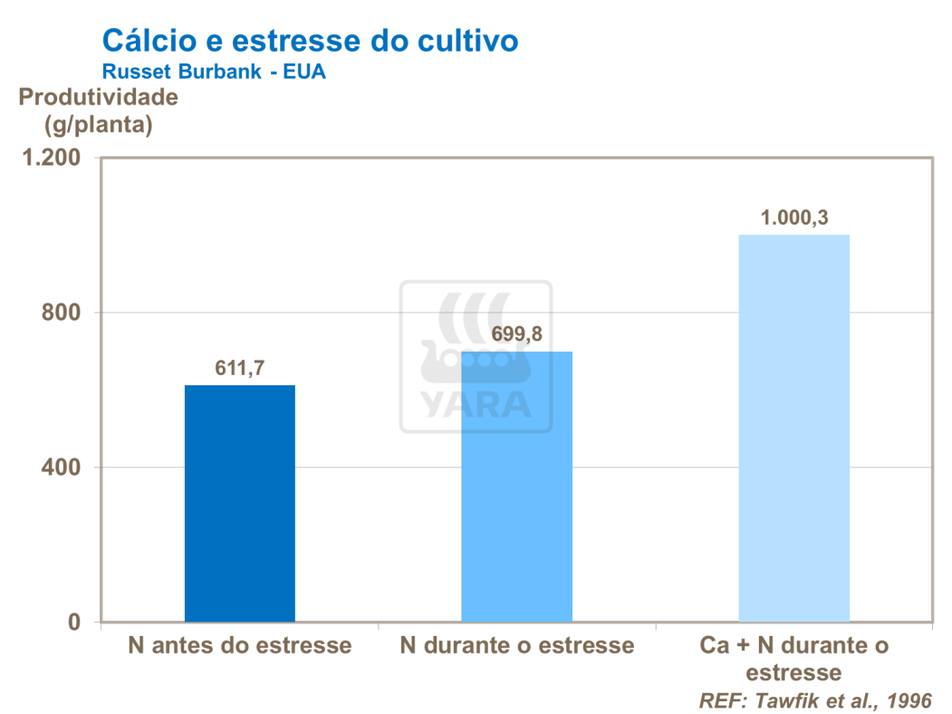 yara, fertilizante, batatas