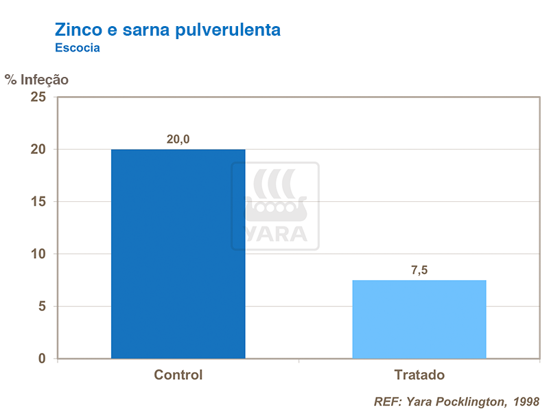 patatas, abono, abonos