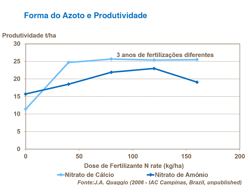 Forma de nitrog&ecirc;nio