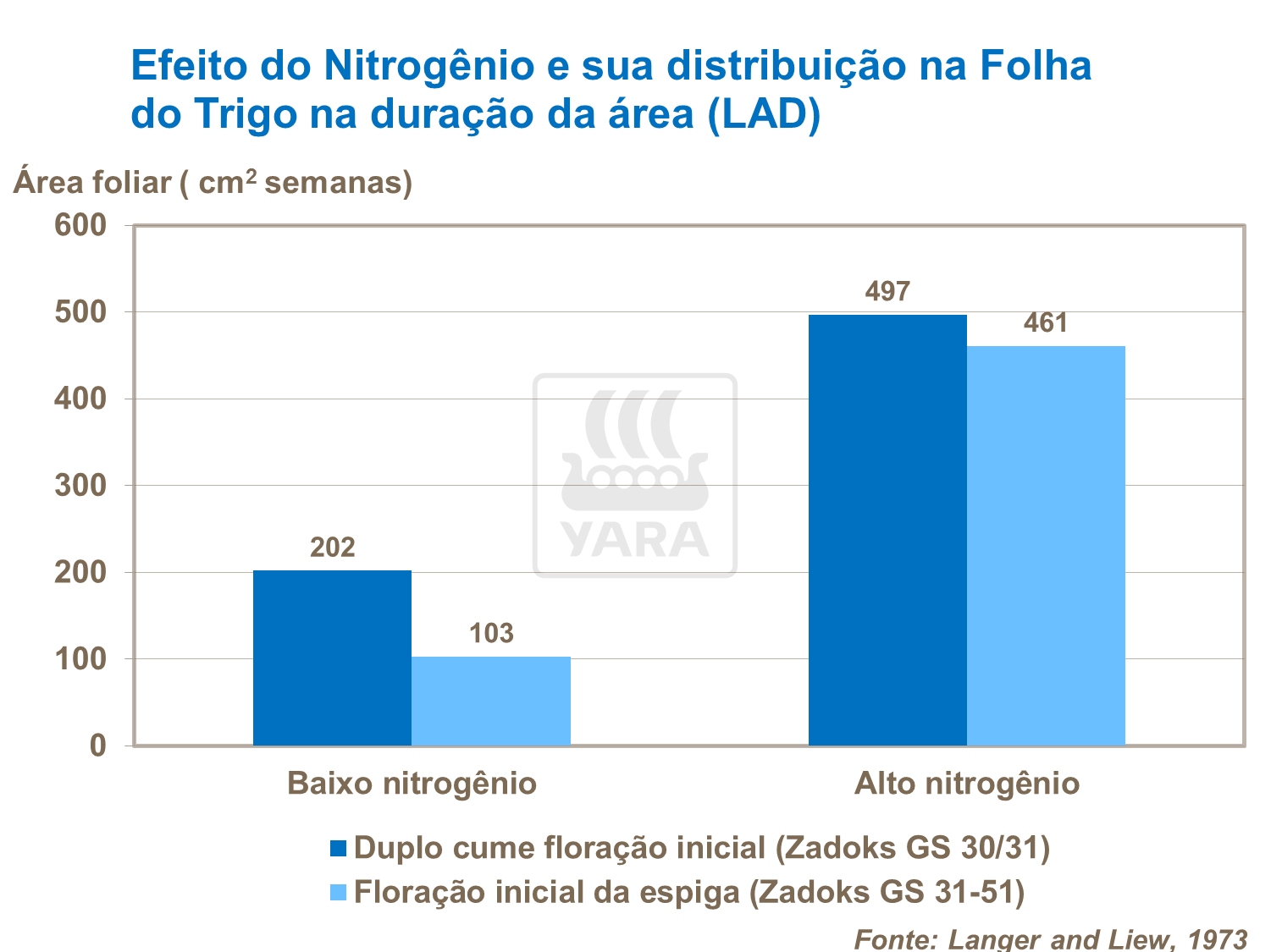 Efeito do Nitrog&ecirc;nio e sua distribui&ccedil;&atilde;o na folha de trigo