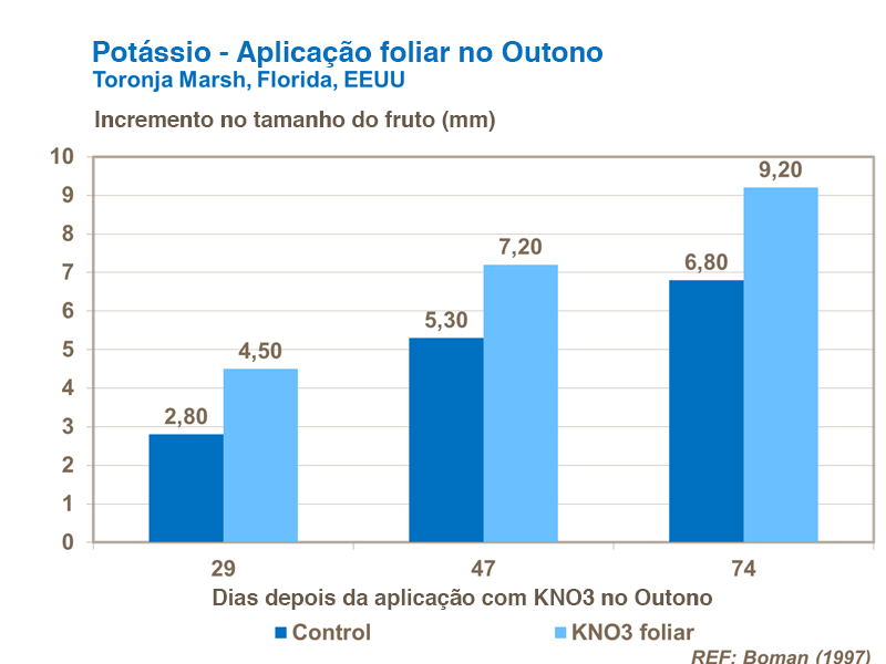 Aplicaci&oacute;n foliar de potasio en c&iacute;tricos
