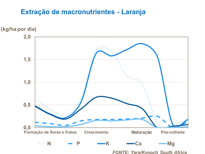 Principais nutrientes absorbidos em c&iacute;tros